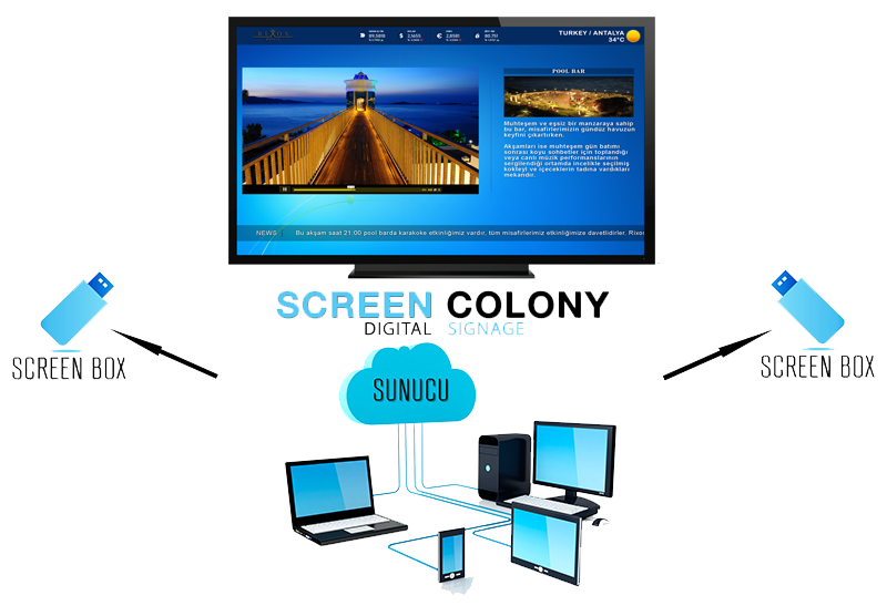 Screen Colony İnfo Tv